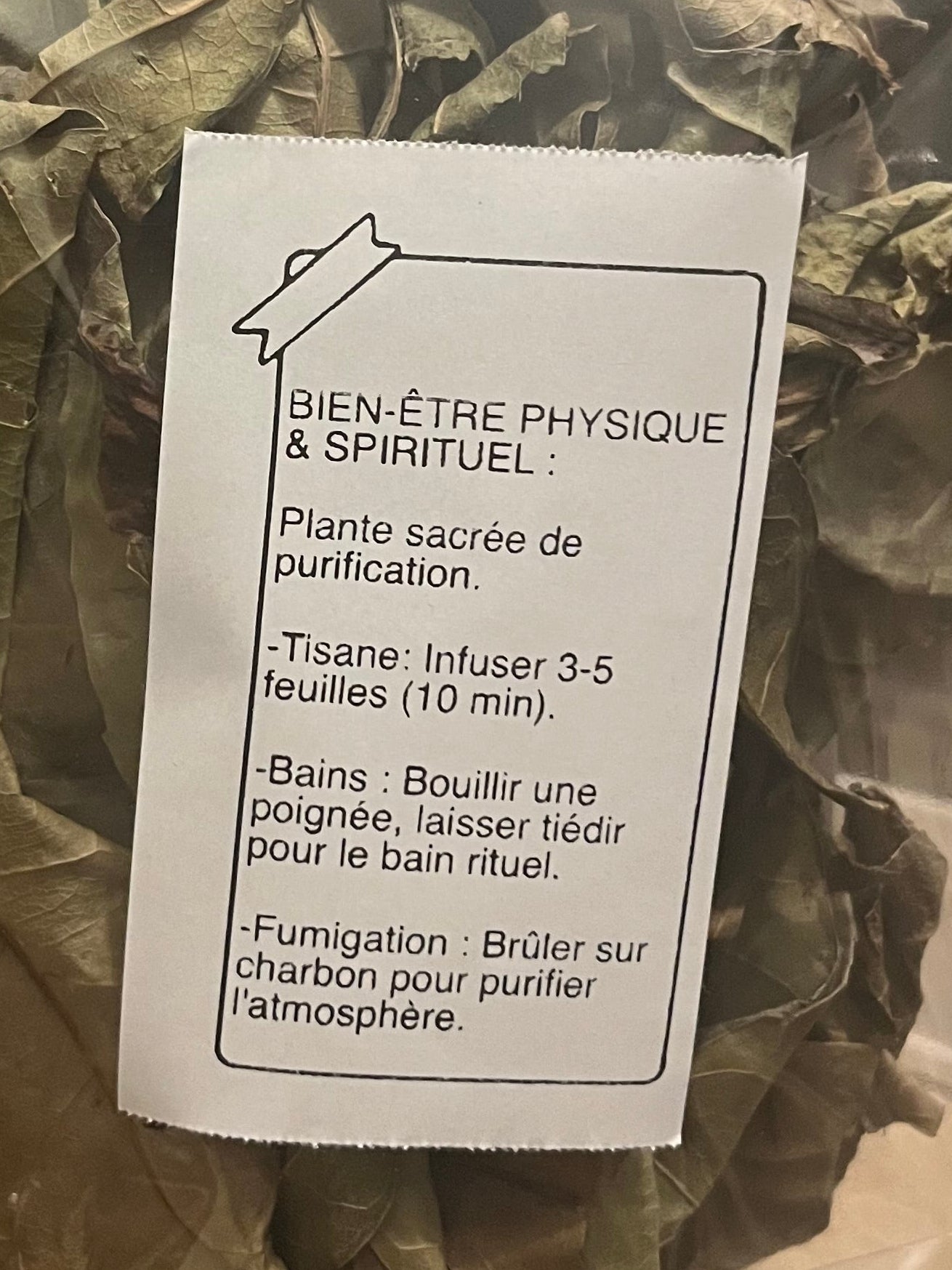 Hysope Africain