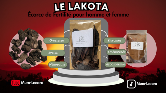 Grossesse et fibromes utérins