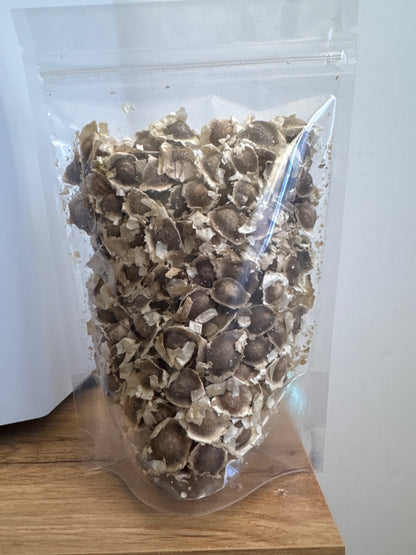 Graine de Moringa