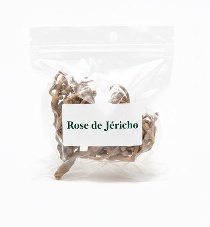 Rose de Jeriko