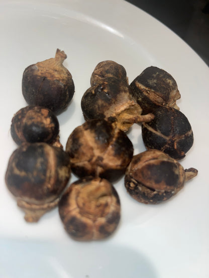 Le Gorontula - chewing gum africain
