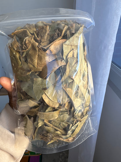 Feuille de corossol séché