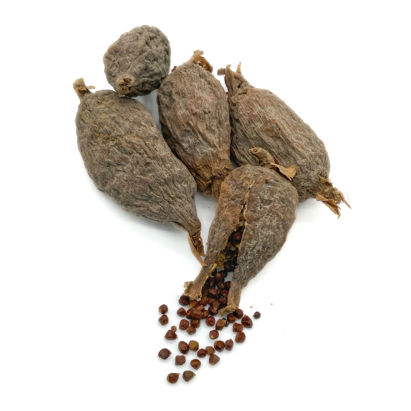 Atakoun - Gousses de Piment de Guinée (4 Pièces)