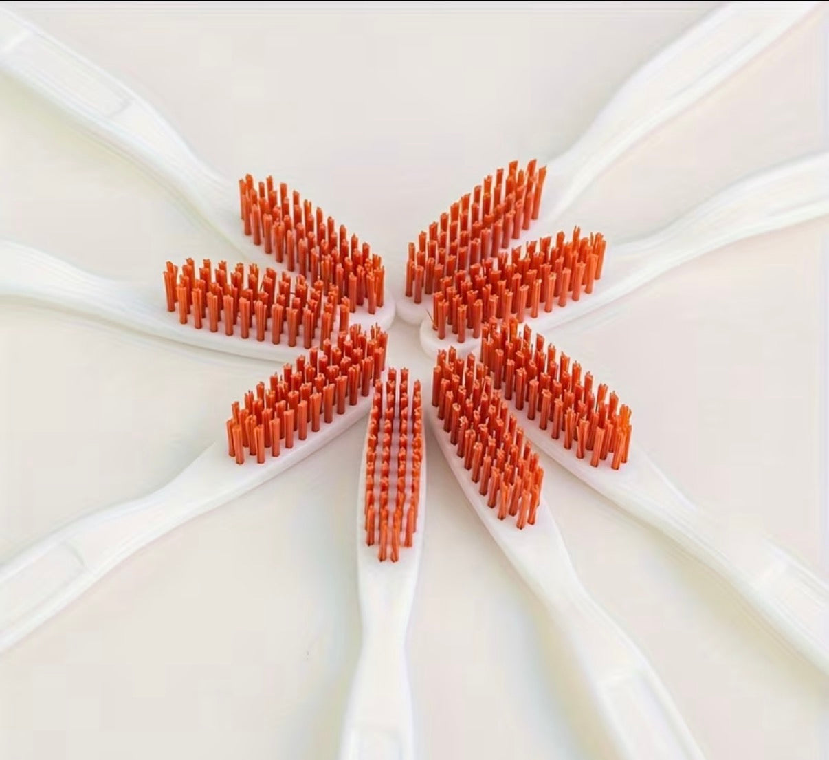 Lot de deux brosses à dents dure