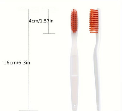 Lot de deux brosses à dents dure