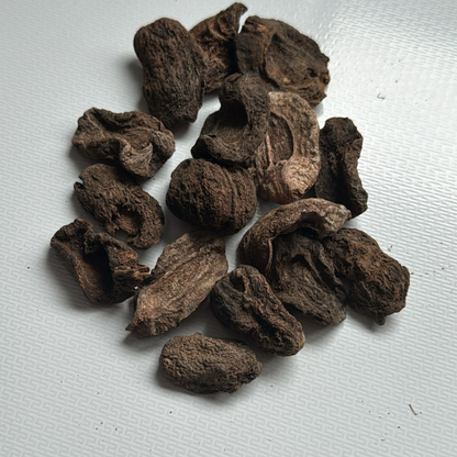 LAKOTA (Ecorce) de Fertilité